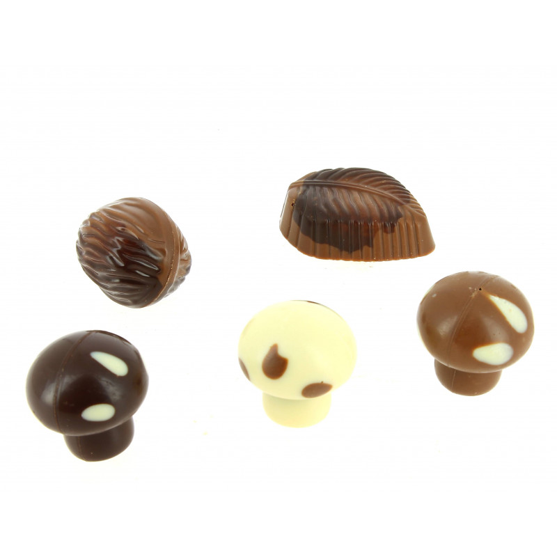 Cueillette d'automne garnie de 200 g de chocolats Leonidas