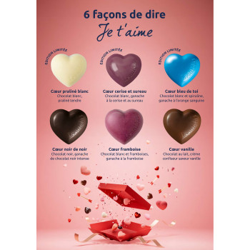 Coffret "Passion" garni de 220 g de chocolats Leonidas